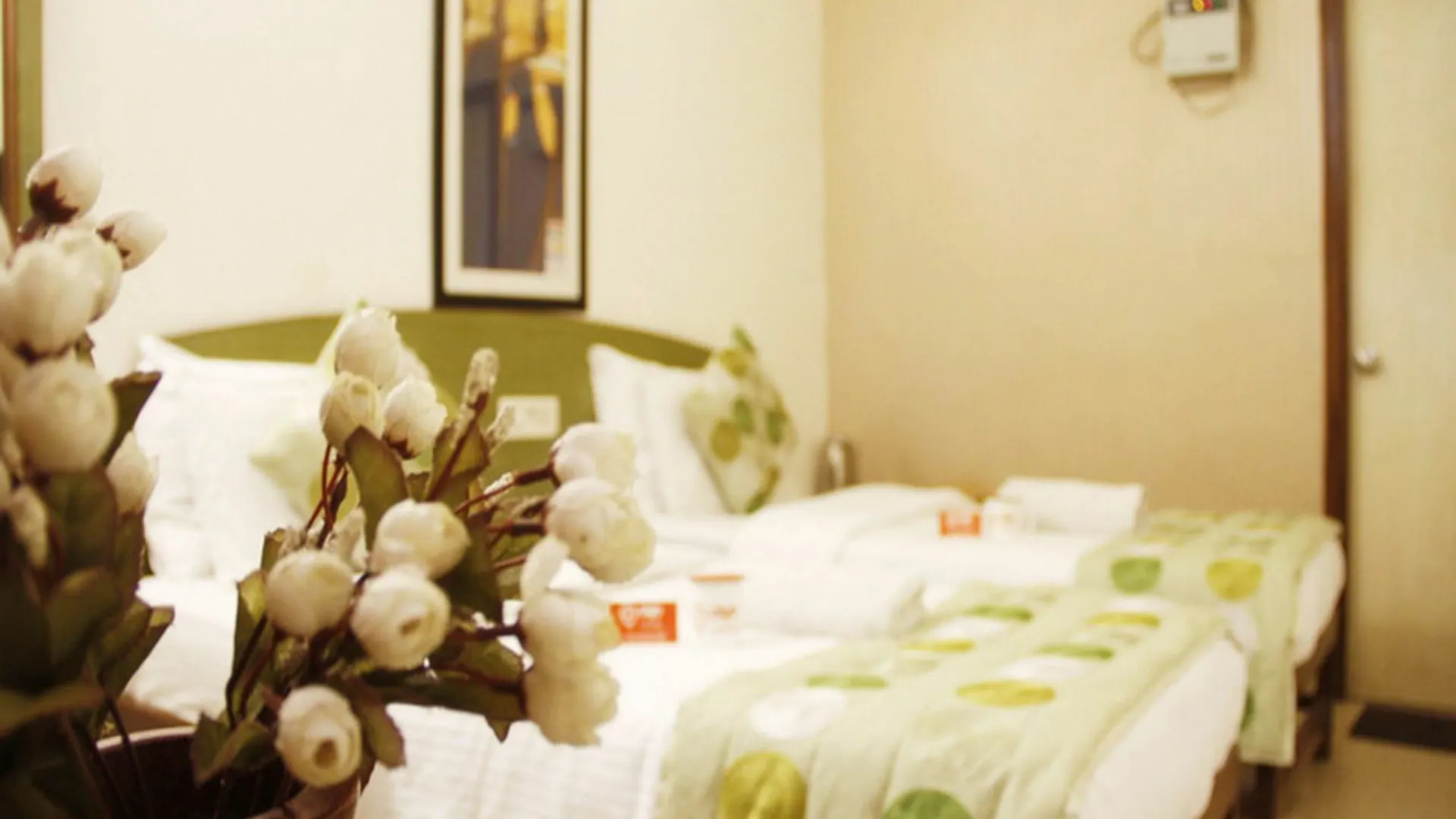 Oyo 738 Hotel Green Castle Delhi   Delhi (National Capital Territory of India)
